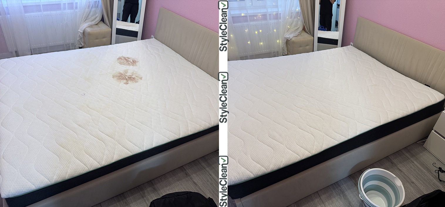 StyleClean Showcase